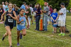 Open XC  (433 of 463)